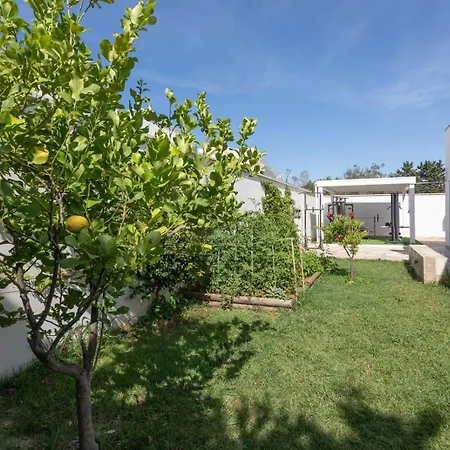 Villa Con Piscina E Giardino A - Apulia *